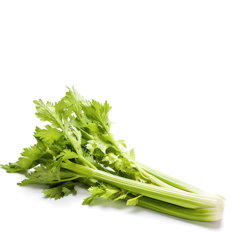ProPlum Organic Celery