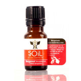 SOiL Organic Bergamot (Citrus Begamia) Essential Oil: 10ml