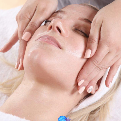 Live Probiotic Experience