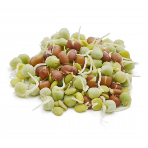 ProPlum Organic Mixed Sprouts 200g