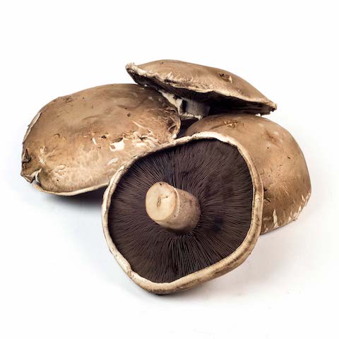 Proplum Organic Large Mushrooms 250g