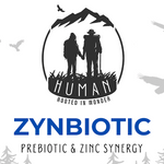 HUMAN | Prebiotic & Zinc Synergy in ZYNBIOTIC