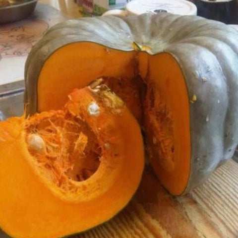 Maledi Fresh Blue Whole Pumpkin