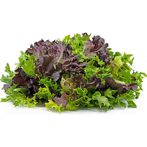 Maledi Fresh Mixed Lettuce (Naturally Grown) - 150g