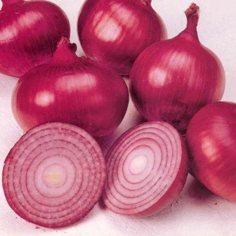 Maledi Fresh Onions Red 850g (Certified Organic)