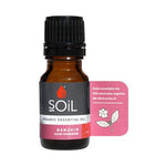 SOiL Organic Benzoin Essential Oil (Styrax Tonkinensis resin) 10ml