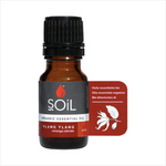 SOiL Organic Ylang Ylang (Cananga Odorata) Essential Oil - 10ml