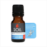 SOiL Organic Marjoram (Origanum Marjoram) Essential Oil - 10ml